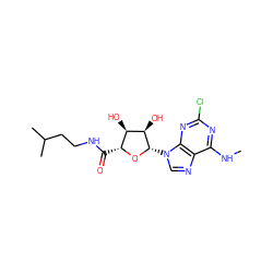 CNc1nc(Cl)nc2c1ncn2[C@@H]1O[C@H](C(=O)NCCC(C)C)[C@@H](O)[C@H]1O ZINC000096900824