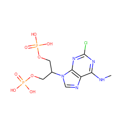 CNc1nc(Cl)nc2c1ncn2C(COP(=O)(O)O)COP(=O)(O)O ZINC000013864014