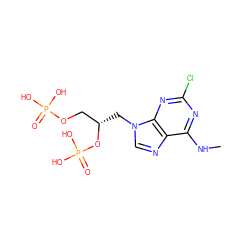 CNc1nc(Cl)nc2c1ncn2C[C@@H](COP(=O)(O)O)OP(=O)(O)O ZINC000013864029