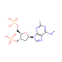 CNc1nc(I)nc2c1ncn2[C@H]1C[C@H](OP(=O)(O)O)[C@@H](COP(=O)(O)O)O1 ZINC000029396427