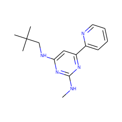 CNc1nc(NCC(C)(C)C)cc(-c2ccccn2)n1 ZINC000299834430