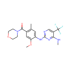 CNc1nc(Nc2cc(C)c(C(=O)N3CCOCC3)cc2OC)ncc1C(F)(F)F ZINC000095578591