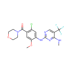 CNc1nc(Nc2cc(Cl)c(C(=O)N3CCOCC3)cc2OC)ncc1C(F)(F)F ZINC000095579155