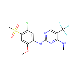 CNc1nc(Nc2cc(Cl)c(S(C)(=O)=O)cc2OC)ncc1C(F)(F)F ZINC000205928576