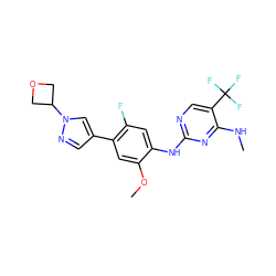 CNc1nc(Nc2cc(F)c(-c3cnn(C4COC4)c3)cc2OC)ncc1C(F)(F)F ZINC000169704363