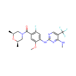 CNc1nc(Nc2cc(F)c(C(=O)N3C[C@H](C)O[C@H](C)C3)cc2OC)ncc1C(F)(F)F ZINC000169705148