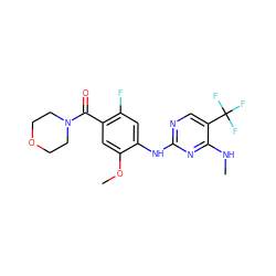 CNc1nc(Nc2cc(F)c(C(=O)N3CCOCC3)cc2OC)ncc1C(F)(F)F ZINC000095574429