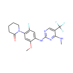 CNc1nc(Nc2cc(F)c(N3CCCCC3=O)cc2OC)ncc1C(F)(F)F ZINC000205903417