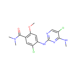 CNc1nc(Nc2cc(OC)c(C(=O)N(C)C)cc2Cl)ncc1Cl ZINC000169705083