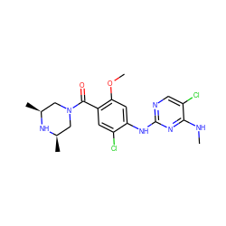 CNc1nc(Nc2cc(OC)c(C(=O)N3C[C@H](C)N[C@H](C)C3)cc2Cl)ncc1Cl ZINC000169705103