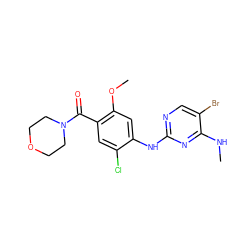 CNc1nc(Nc2cc(OC)c(C(=O)N3CCOCC3)cc2Cl)ncc1Br ZINC000169705187