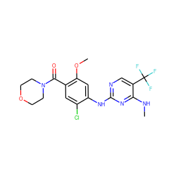 CNc1nc(Nc2cc(OC)c(C(=O)N3CCOCC3)cc2Cl)ncc1C(F)(F)F ZINC000095575205