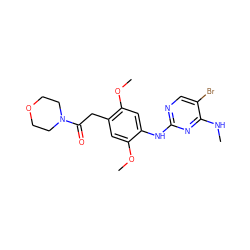 CNc1nc(Nc2cc(OC)c(CC(=O)N3CCOCC3)cc2OC)ncc1Br ZINC000147716075