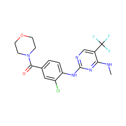 CNc1nc(Nc2ccc(C(=O)N3CCOCC3)cc2Cl)ncc1C(F)(F)F ZINC000169705189