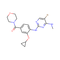 CNc1nc(Nc2ccc(C(=O)N3CCOCC3)cc2OC2CC2)ncc1Br ZINC000169705132