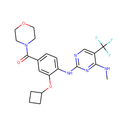 CNc1nc(Nc2ccc(C(=O)N3CCOCC3)cc2OC2CCC2)ncc1C(F)(F)F ZINC000147711546