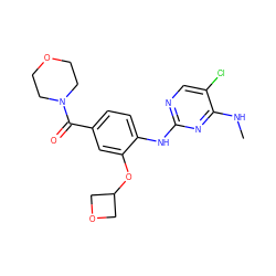 CNc1nc(Nc2ccc(C(=O)N3CCOCC3)cc2OC2COC2)ncc1Cl ZINC000169705185