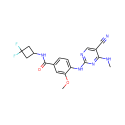 CNc1nc(Nc2ccc(C(=O)NC3CC(F)(F)C3)cc2OC)ncc1C#N ZINC000169705118