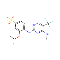 CNc1nc(Nc2ccc(S(C)(=O)=O)cc2OC(C)C)ncc1C(F)(F)F ZINC000205927105