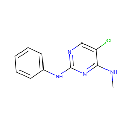 CNc1nc(Nc2ccccc2)ncc1Cl ZINC000095556302