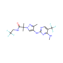 CNc1nc(Nc2cn(C(C)(C)C(=O)NCC(F)(F)F)nc2C)ncc1C(F)(F)F ZINC000103260597