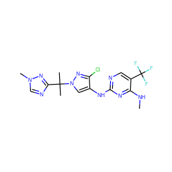 CNc1nc(Nc2cn(C(C)(C)c3ncn(C)n3)nc2Cl)ncc1C(F)(F)F ZINC000205696162