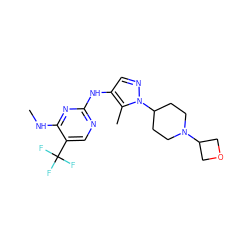 CNc1nc(Nc2cnn(C3CCN(C4COC4)CC3)c2C)ncc1C(F)(F)F ZINC000103260621