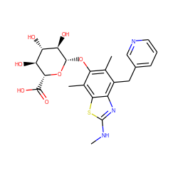 CNc1nc2c(Cc3cccnc3)c(C)c(O[C@@H]3O[C@H](C(=O)O)[C@@H](O)[C@H](O)[C@H]3O)c(C)c2s1 ZINC000004099171