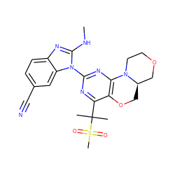 CNc1nc2ccc(C#N)cc2n1-c1nc2c(c(C(C)(C)S(C)(=O)=O)n1)OC[C@@H]1COCCN21 ZINC000218271648