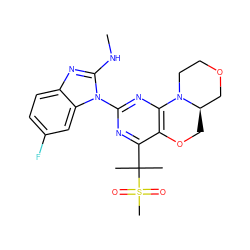 CNc1nc2ccc(F)cc2n1-c1nc2c(c(C(C)(C)S(C)(=O)=O)n1)OC[C@@H]1COCCN21 ZINC000218304299