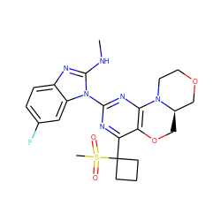 CNc1nc2ccc(F)cc2n1-c1nc2c(c(C3(S(C)(=O)=O)CCC3)n1)OC[C@@H]1COCCN21 ZINC000221362746