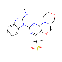 CNc1nc2ccccc2n1-c1nc2c(c(C(C)(C)S(C)(=O)=O)n1)OC[C@@H]1COCCN21 ZINC000218118747