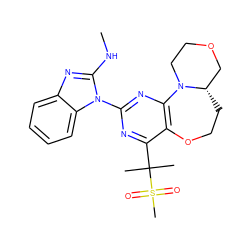 CNc1nc2ccccc2n1-c1nc2c(c(C(C)(C)S(C)(=O)=O)n1)OCC[C@H]1COCCN21 ZINC000218209732