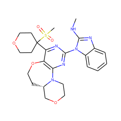 CNc1nc2ccccc2n1-c1nc2c(c(C3(S(C)(=O)=O)CCOCC3)n1)OCC[C@H]1COCCN21 ZINC000218210221