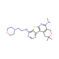 CNc1nc2sc3c(NCCN4CCOCC4)ncnc3c2c2c1COC(C)(C)C2 ZINC000064538980