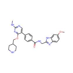 CNc1ncc(-c2ccc(C(=O)NCc3nc4ccc(OC)cc4[nH]3)cc2)c(OCC2CCNCC2)n1 ZINC001772647405