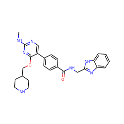 CNc1ncc(-c2ccc(C(=O)NCc3nc4ccccc4[nH]3)cc2)c(OCC2CCNCC2)n1 ZINC001772632007