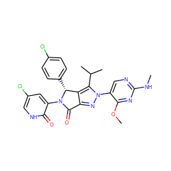 CNc1ncc(-n2nc3c(c2C(C)C)[C@@H](c2ccc(Cl)cc2)N(c2cc(Cl)c[nH]c2=O)C3=O)c(OC)n1 ZINC000224130758