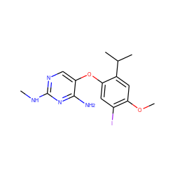 CNc1ncc(Oc2cc(I)c(OC)cc2C(C)C)c(N)n1 ZINC000040828471