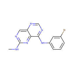 CNc1ncc2ncnc(Nc3cccc(Br)c3)c2n1 ZINC000003815069