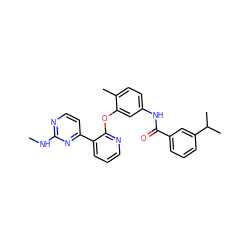 CNc1nccc(-c2cccnc2Oc2cc(NC(=O)c3cccc(C(C)C)c3)ccc2C)n1 ZINC000028896879