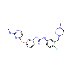 CNc1nccc(Oc2ccc3nc(Nc4ccc(Cl)c(CN5CCN(C)CC5)c4)[nH]c3c2)n1 ZINC000023359467