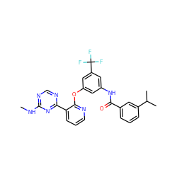 CNc1ncnc(-c2cccnc2Oc2cc(NC(=O)c3cccc(C(C)C)c3)cc(C(F)(F)F)c2)n1 ZINC000028896899
