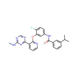 CNc1ncnc(-c2cccnc2Oc2cc(NC(=O)c3cccc(C(C)C)c3)ccc2F)n1 ZINC000028896894