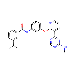 CNc1ncnc(-c2cccnc2Oc2cccc(NC(=O)c3cccc(C(C)C)c3)c2)n1 ZINC000028896891