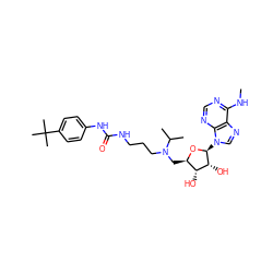 CNc1ncnc2c1ncn2[C@@H]1O[C@H](CN(CCCNC(=O)Nc2ccc(C(C)(C)C)cc2)C(C)C)[C@@H](O)[C@H]1O ZINC000095553299