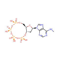 CNc1ncnc2c1ncn2[C@H]1C[C@@H]2O[P@@](=O)(O)O[P@@](=O)(O)O[P@@](=O)(O)O[P@@](=O)(O)OC[C@H]2O1 ZINC000138811978