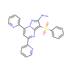 CNc1nn2c(-c3ccccn3)cc(-c3ccccn3)nc2c1S(=O)(=O)c1ccccc1 ZINC000085393460