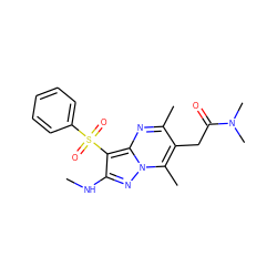 CNc1nn2c(C)c(CC(=O)N(C)C)c(C)nc2c1S(=O)(=O)c1ccccc1 ZINC000169699843