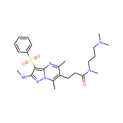 CNc1nn2c(C)c(CCC(=O)N(C)CCCN(C)C)c(C)nc2c1S(=O)(=O)c1ccccc1 ZINC000085393563